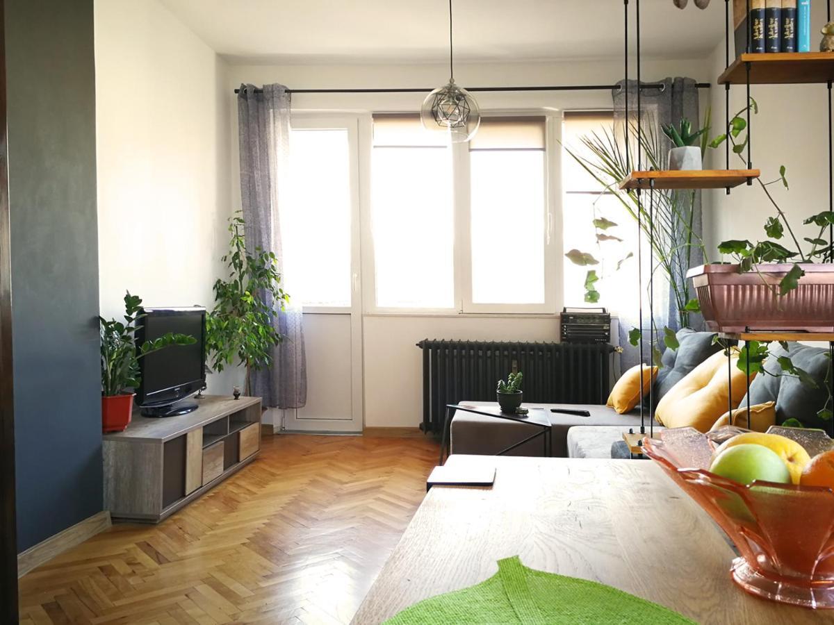 Sunny Downtown Apartment For 4 소피아 외부 사진