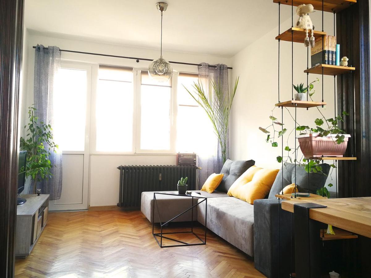 Sunny Downtown Apartment For 4 소피아 외부 사진